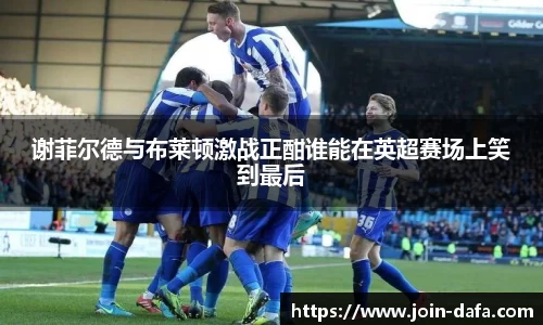 谢菲尔德与布莱顿激战正酣谁能在英超赛场上笑到最后