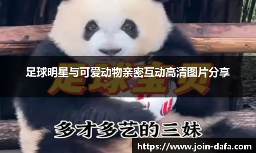 足球明星与可爱动物亲密互动高清图片分享